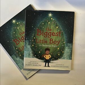 The Biggest Little Boy: A Christmas Story by Poppy Harlow